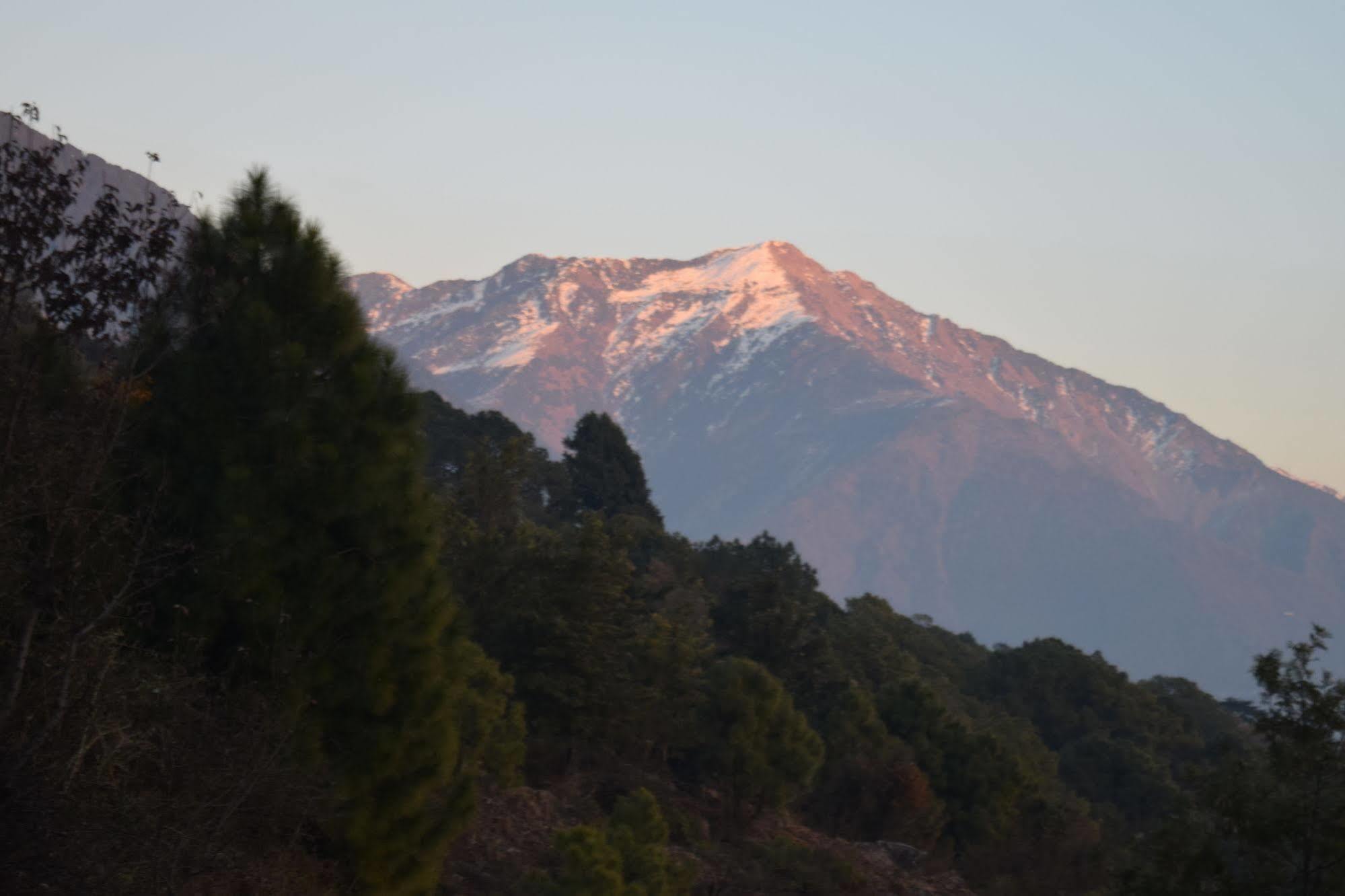 The Exotica Ξενοδοχείο Νταραμσάλα Εξωτερικό φωτογραφία